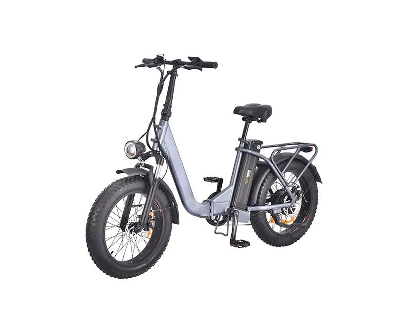 Roj log tsheb Ebike Folding