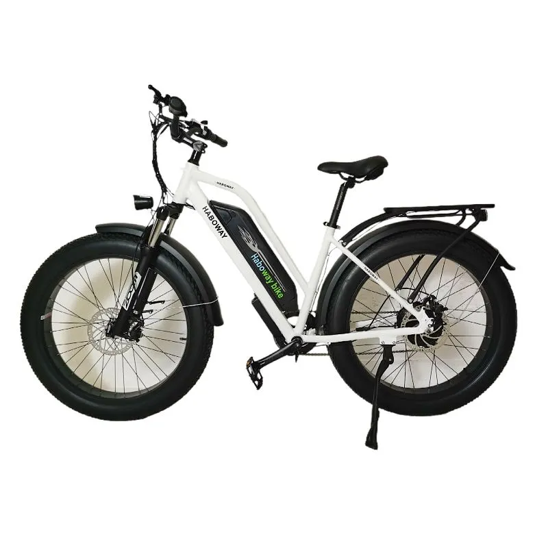 Fat Tire Electric Bike Adult