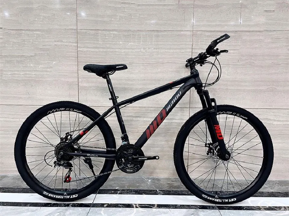 Tshwj xeeb tsheb tuam roob