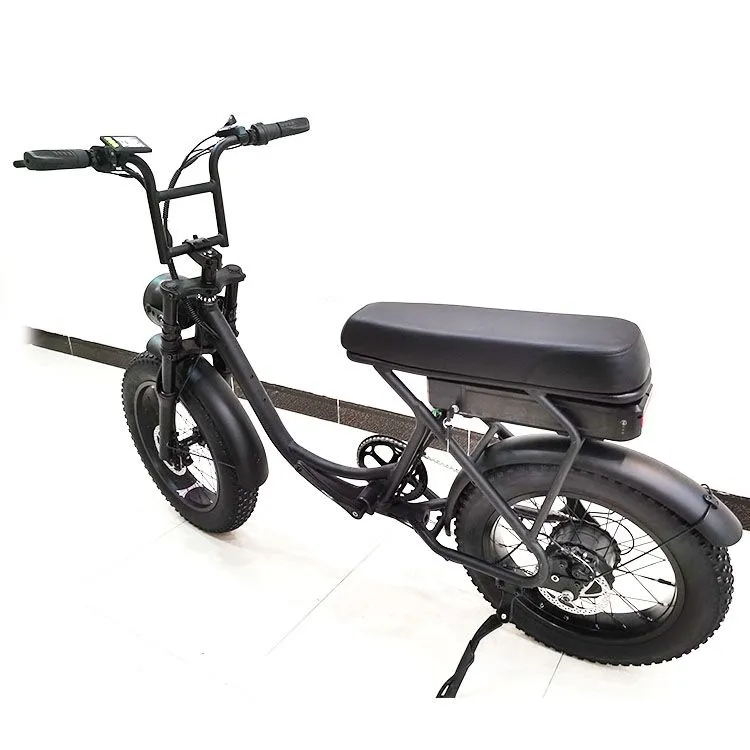FOLDING STEP-THU ELECTRIC BIKE