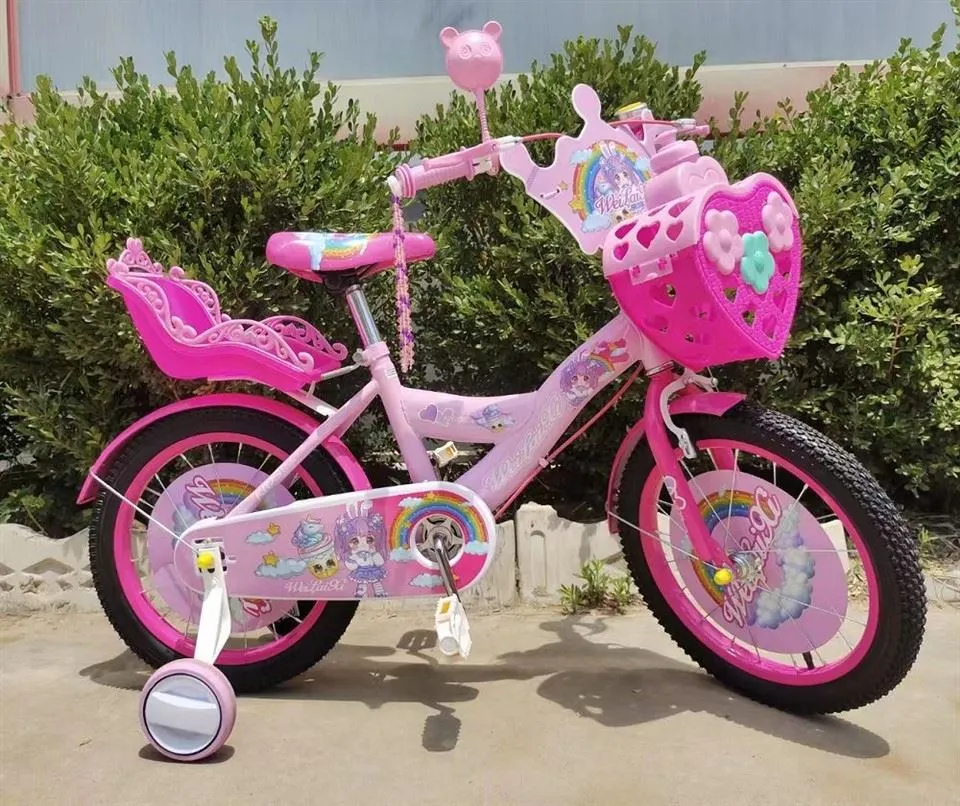 High Carbon Steel Girls Bicycle