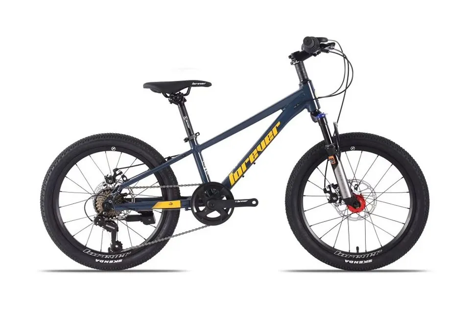 Txiv neej thiab poj niam Mountain Bike