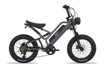 Cov Neeg Laus Electric Mountain Bike