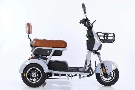 Peb Log Electric Tsheb kauj vab